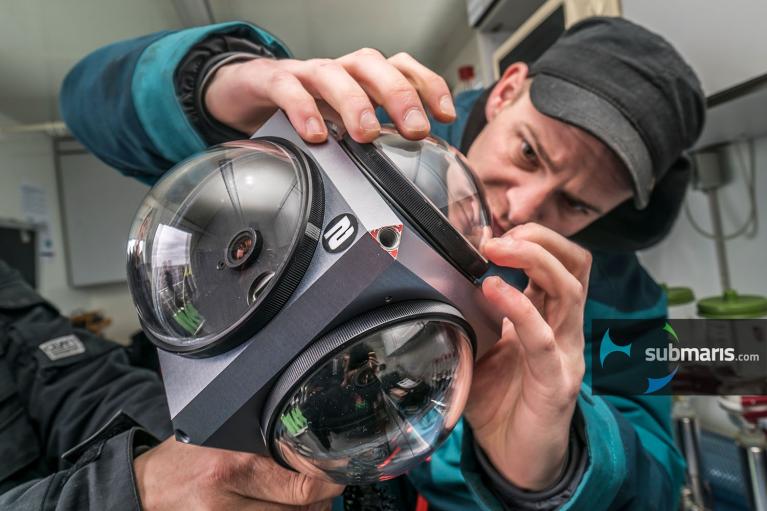 Bild