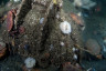 helgoland_seegefecht_geladenes_Torpedorohr